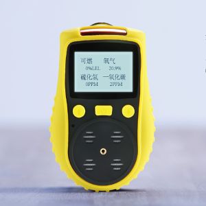 China Portable Ethylene Oxide Eto Gas Detector With Imported Sensor on sale