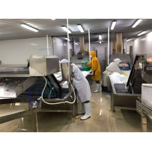 Automatic Fish Processing Plant Equipment Stable Multi Function