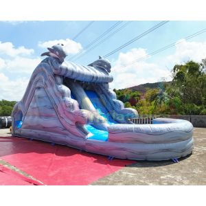 Wholesale Water Park Plato Commercial Inflatable Slide With Pool from china suppliers