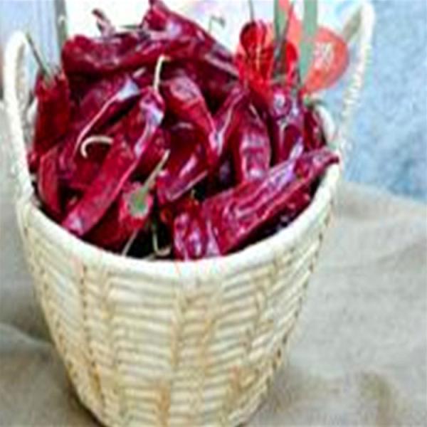 Quality Dry And Cool Place Storage Method Maintains Nutrient Value Of Mild Dried Red Chilies for sale