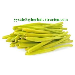 Wholesale Daylily Extract natural NATURAL HERBAL ingredients Hemerocallia Fulva extract Anti-Cancer Chinese manufacturer from china suppliers