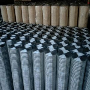 Customized 4x4 Galvanised Welded Mesh Fence Rolls