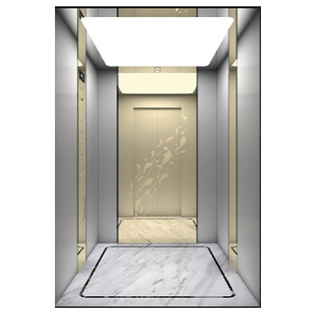 Customized Design Passenger Elevators Villa Monarch Private Elevator Automatic