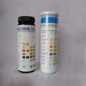 Invbio Fsc Certified Urinalysis Test Strips 11 Parameters