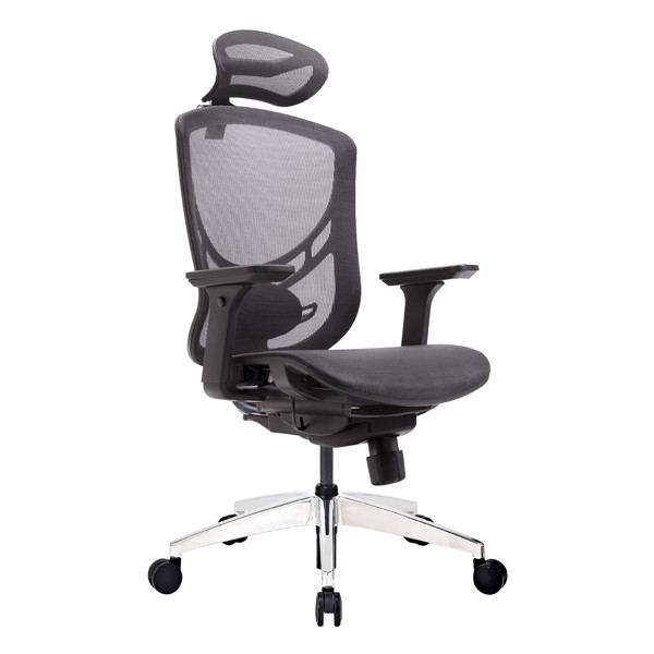 Quality High Back Swivel Project Office Chair Ergo Mesh Seating Paddle Control Mechanism for sale