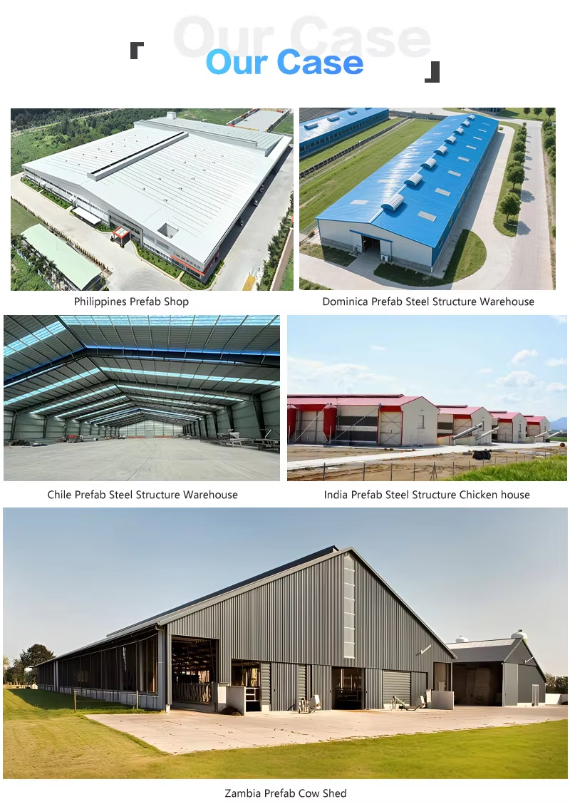 Low Price Steel Structure Building Warehouse Construction
