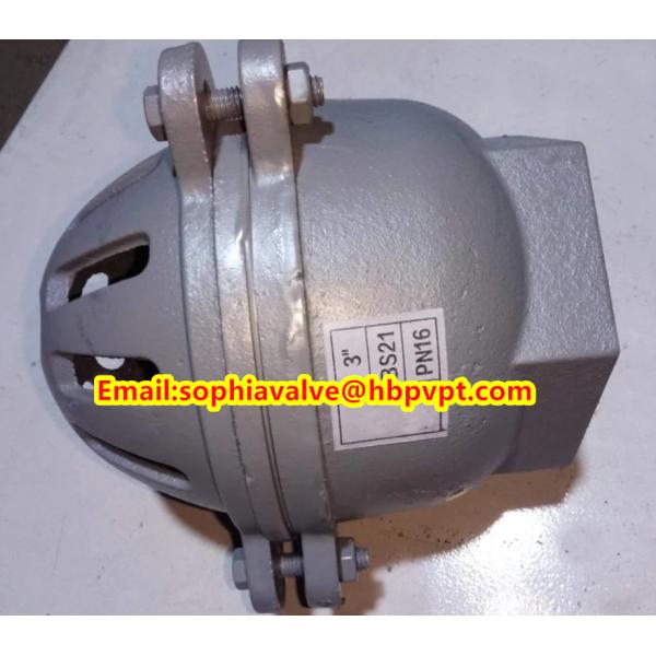 female thread foot valve material GG20