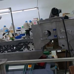 Smart Dates Sorting Machine With AI-powered Detection, 6 lanes+10 outlets, 1.8