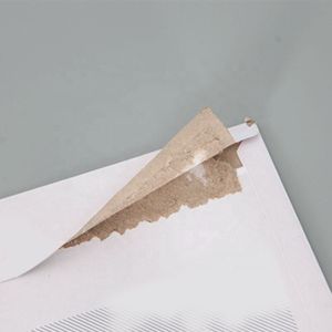 Custom Cardboard Kraft Envelope Mailer Hard Envelopes Durable And Eco-Friendly