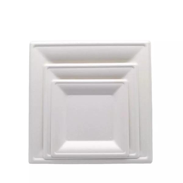 Compostable 8 Inch Square Biodegradable Bagasse Plates Food Dinner Pulp Molded