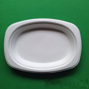 Wholesale biodegradable eco-friendly tableware sugarcane small oval shaped food tray from china suppliers