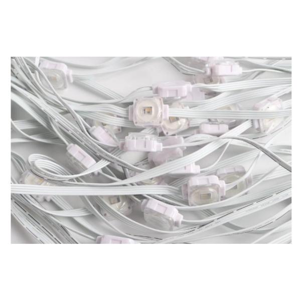 Permanent Outdoor LED Lights With CE Certification And 3 SMD5050 RGBW LEDs