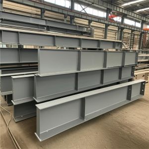 Customizable Industrial Steel Buildings with Strong Earthquake Resistance and Sa