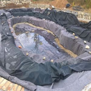 GM 13 Standard 0.2mm-3mm Thickness Waterproofing Geomembrane for Industrial