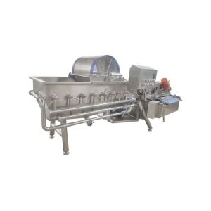 50HZ 4KW 1000KG/H Vegetable Vortex Cleaning Machine