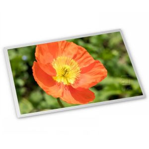 Wholesale M238HAN03.1 23.8-Inch IPS WLED TFT-LCD Screen Panel with LVDS Interface 1920*1080 Resolution LCD Display from china suppliers