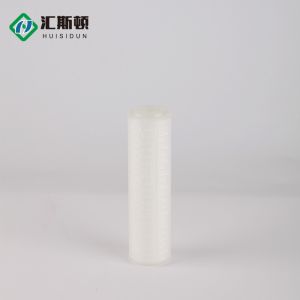 10 Inch 0.1 Micron Absolute Filter Pp Series Pleated Depth Filtration Household
