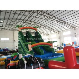 Custom Made 0.55mm PVC Inflatable Water Slides For Childre 14 Years Age