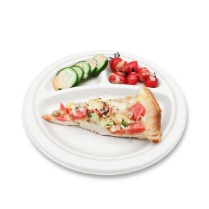 Disposable Bagasse 10 Inch Sugarcane Compostable Plates 3 Compartment Plates