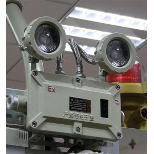 Chemical Industry Explosive Proof Emergency Light Ip66 Flameproof