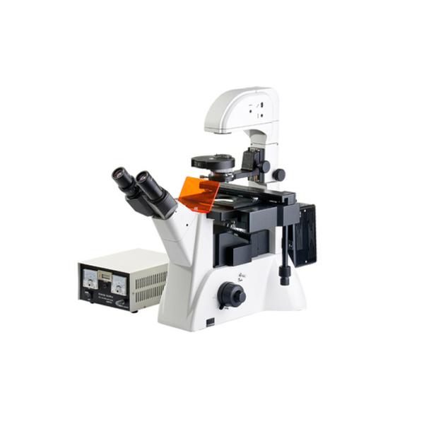 10X20X40X Fluorescent Light Microscopy , Scientific Inverted Fluorescence