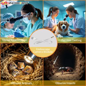 Industrial and Medical Led Integrated CMOS Endoscope Camera Bare Module