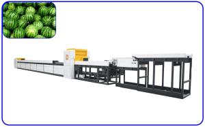 Wholesale Smart Fruit Sorting Machine Computer Control Watermelon Sorter Customized from china suppliers