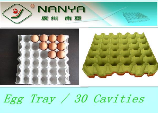 Quality Biodegradable Pulp Moulded Products Disposable Egg Tray with 30 Cavities for sale