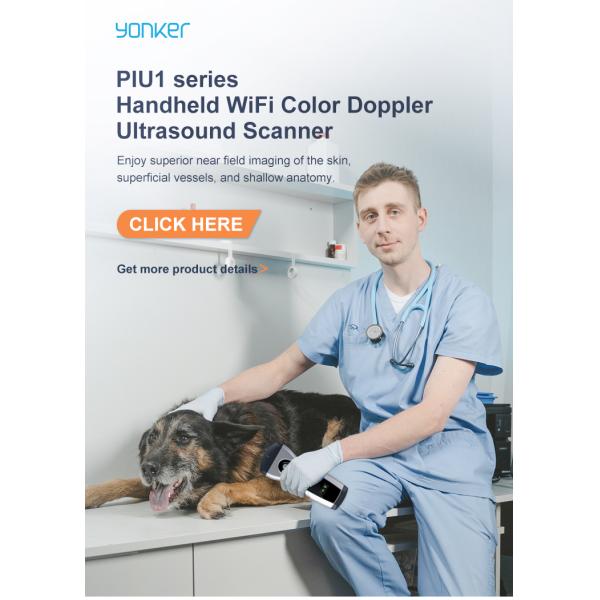 Yonker Pocket Veterinary Ultrasound Scanner Portable Handheld WiFi Color Wireless Ultrasound Probe Vet for Animal Cat Pet Dog
