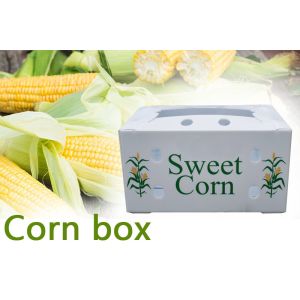OEM Broccoli Fruit Corrugated Boxes Corrugated Plastic Delivery Box