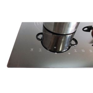 ROHS 4800W Zinc alloy Dual Induction Cooker