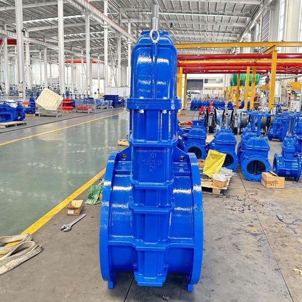 OEM ODM BS5163 Gate Valve Handle Wheel Metal Sealing 30" Port