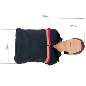 Cpr First Aid Manikins Medical Simulation Dummy Half Body