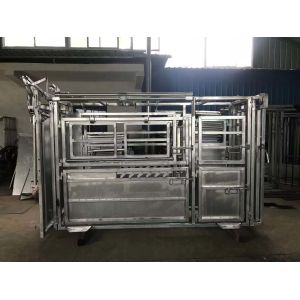 Standard Vet Cattle Crush with Y section Australia Standard Complied