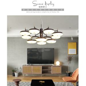 Modern monochrome energy-saving light source acrylic simple chandelier