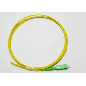 12core SC 3.0mm Optical Fiber Pigtail for Singlemode / Multimode Pigtail