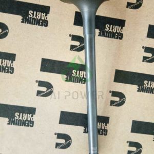 Cummins Diesel Engine Parts Valve Intake And Exhaust Set 3901117(4995554)