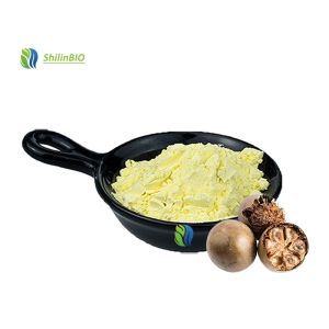 High Quality Luo Han Guo Extract Mogroside V 5%-65% Pure Monk Fruit Extract