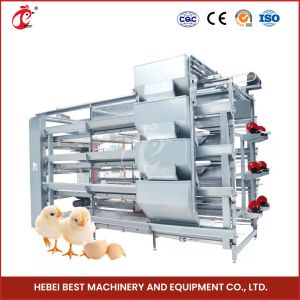 A H Type Full Automatic Brooder Chicken Cage System Q235 Steel Rustproof Star