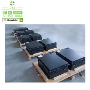 96V300AH 72V200Ah Golf Cart Lifepo4 Lithium Ion Battery Packs With IP67