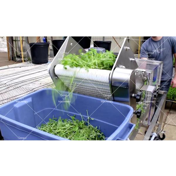 Aquaponics And Microgreens Harvesting Equipment Machines For Greenhouse Grown