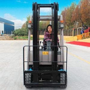 US 2.5 Ton Engine 2h China Forklifts 2000kg 1-2 Ton 2ton 3 2 1 Ton Small Diesel