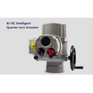 Wholesale Bonray BJ-IIC Intelligent quarter-turn actuator BJ05-IIC BJ10-IIC BJ15-IIC BJ20-IIC BJ30-IIC BJ40-IIC BJ60-IIC from china suppliers