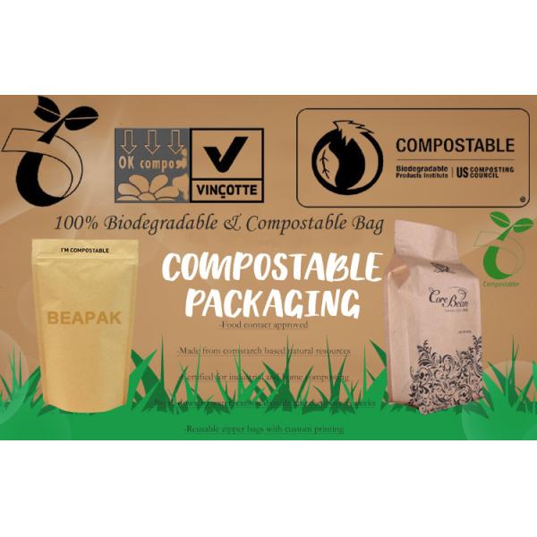 Stand Up PLA Biodegradable Packaging Bag Food Grade
