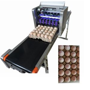 Wholesale Convenient Moving Egg Code Printing Machine With Personalized Integration Frame from china suppliers