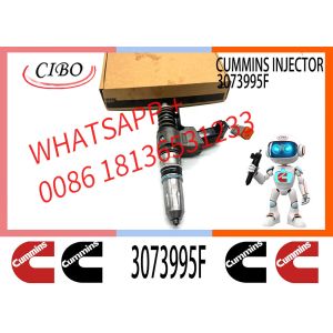 Cummins N14 engine common rail fuel injector 4307795 3073995F 3083846 3083622