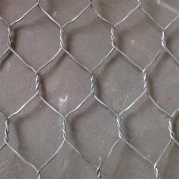 Quality 1/2 inch 1m Chicken Wire Mesh Roll Hot Dipped Galvanized Hexagonal Wire Mesh Fencing for sale