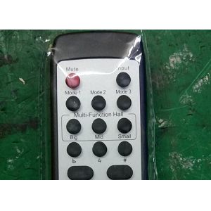 Panel Design 250W AC110V Digital Karaoke Power Amplifier