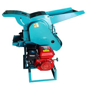 YIFENG 5TG-45 Home Used Paddy Multifunction Thresher