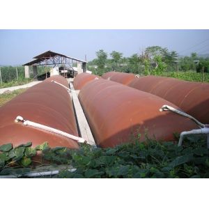 Customized Bio Digester Tank Improve The Environment Household Anaerobic Manure